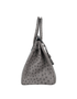 Birkin 35 Ostrich Gris Tourterelle, side view